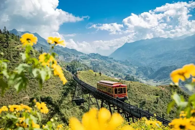 Tri Ân Vàng Cuối Năm Tung Ưu Đãi Lớn Cho Khách Thân Thiết...