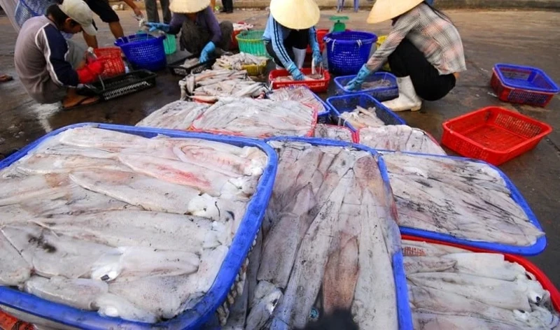 Đi Phú Quốc ăn gì? Gỏi cá trích hải sản An Thới và chợ Cầu Sấu