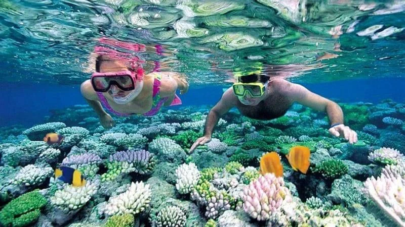 Review tour 3 đảo Phú Quốc Hòn Gầm Ghì – Hòn Móng Tay – Hòn Mây Rút | Lịch trình đi Nam đảo Phú Quốc