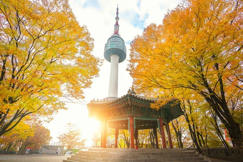 Du Lịch Hàn Quốc 5N4Đ Hà Nội - Seoul - Nami - Công Viên Everland (Vietnam Airlines)