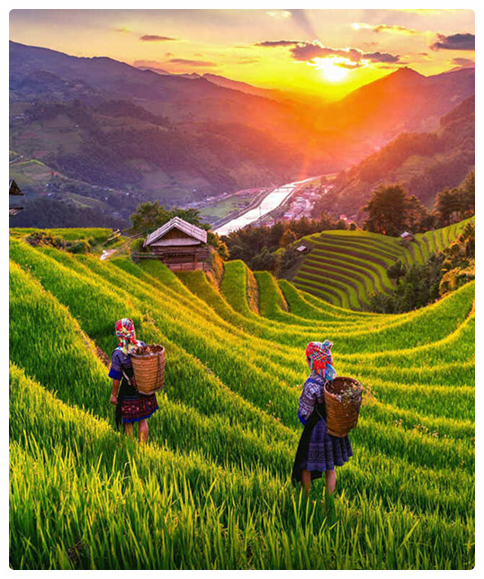 Về chúng tôi