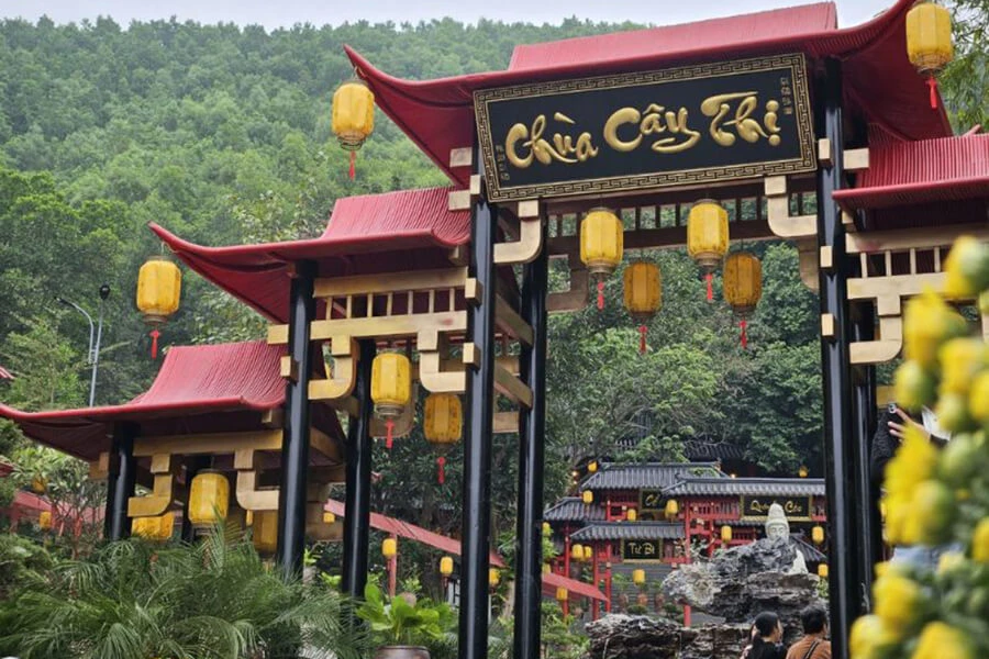 Chùa cây Thị Hà Nam